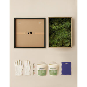 DIY mosschilderij 78 cm platmos