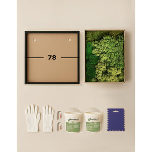 DIY mosschilderij 78 cm mossenmix