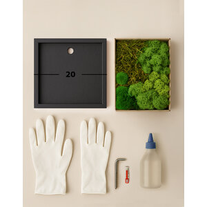 DIY mosspainting 20 cm mossmix