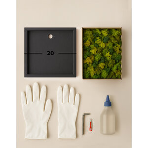 DIY mosschilderij 20 cm ECO mos