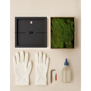 DIY moss painting 20 cm flat moss