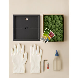 DIY mosschilderij 20 cm rendiermos