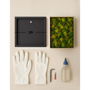 DIY moss painting 30 cm ECO moss