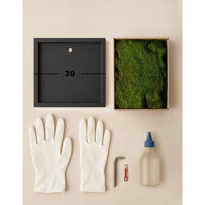 DIY mosschilderij 30 cm platmos