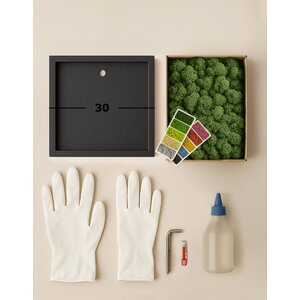 DIY moss painting 30 cm reindeermoss