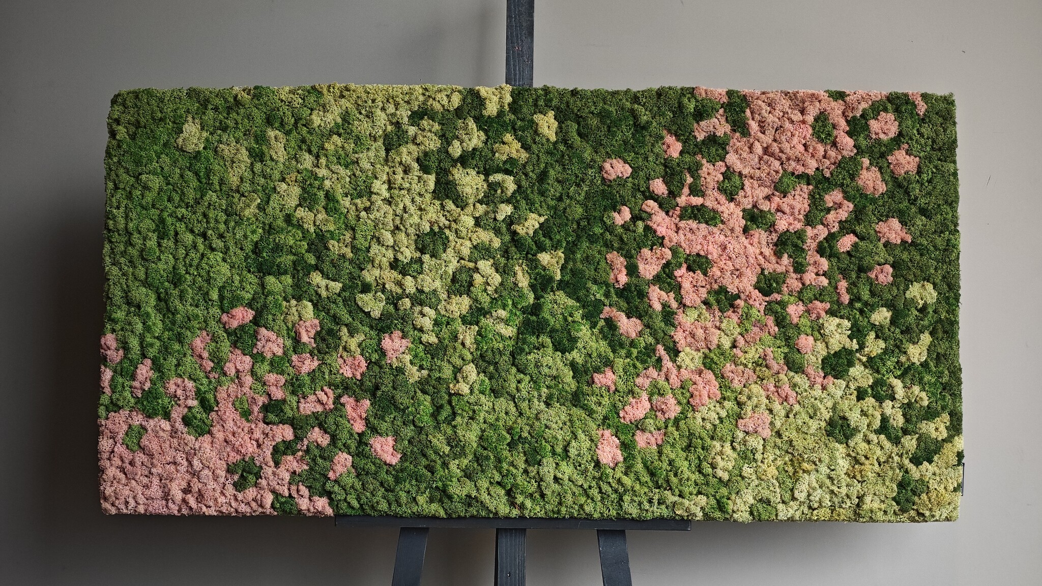 Kan een moswand buiten hangen?