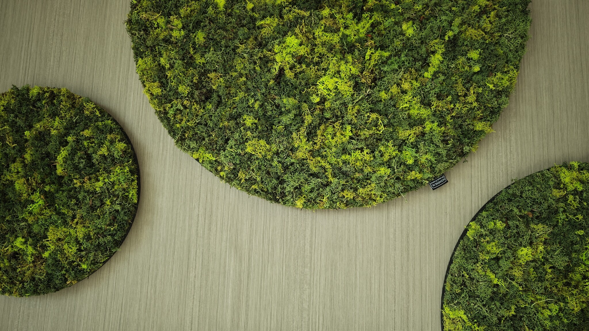 Did you know that we use real moss that requires no maintenance? Read more here.