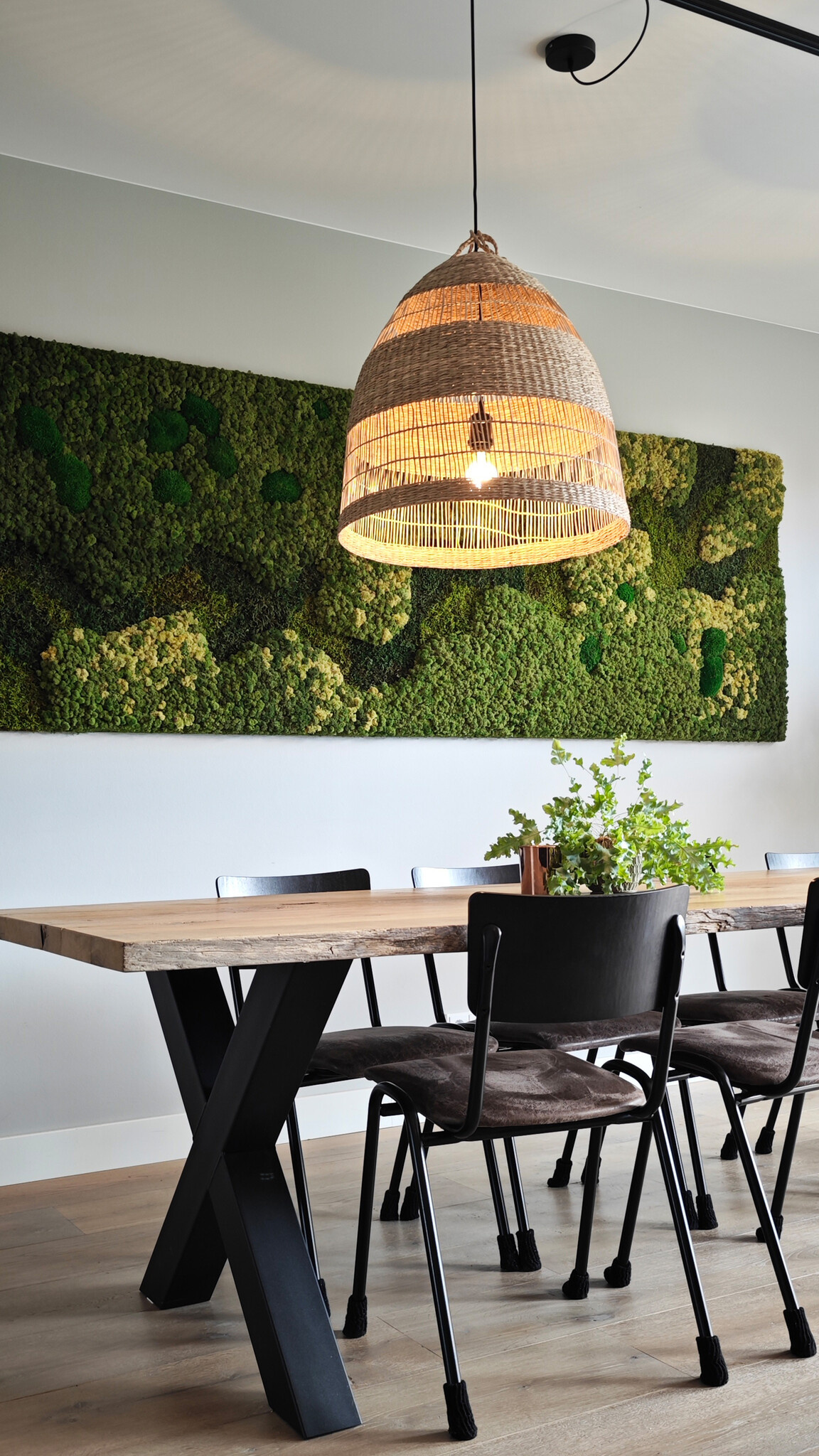 Is the moss still alive?