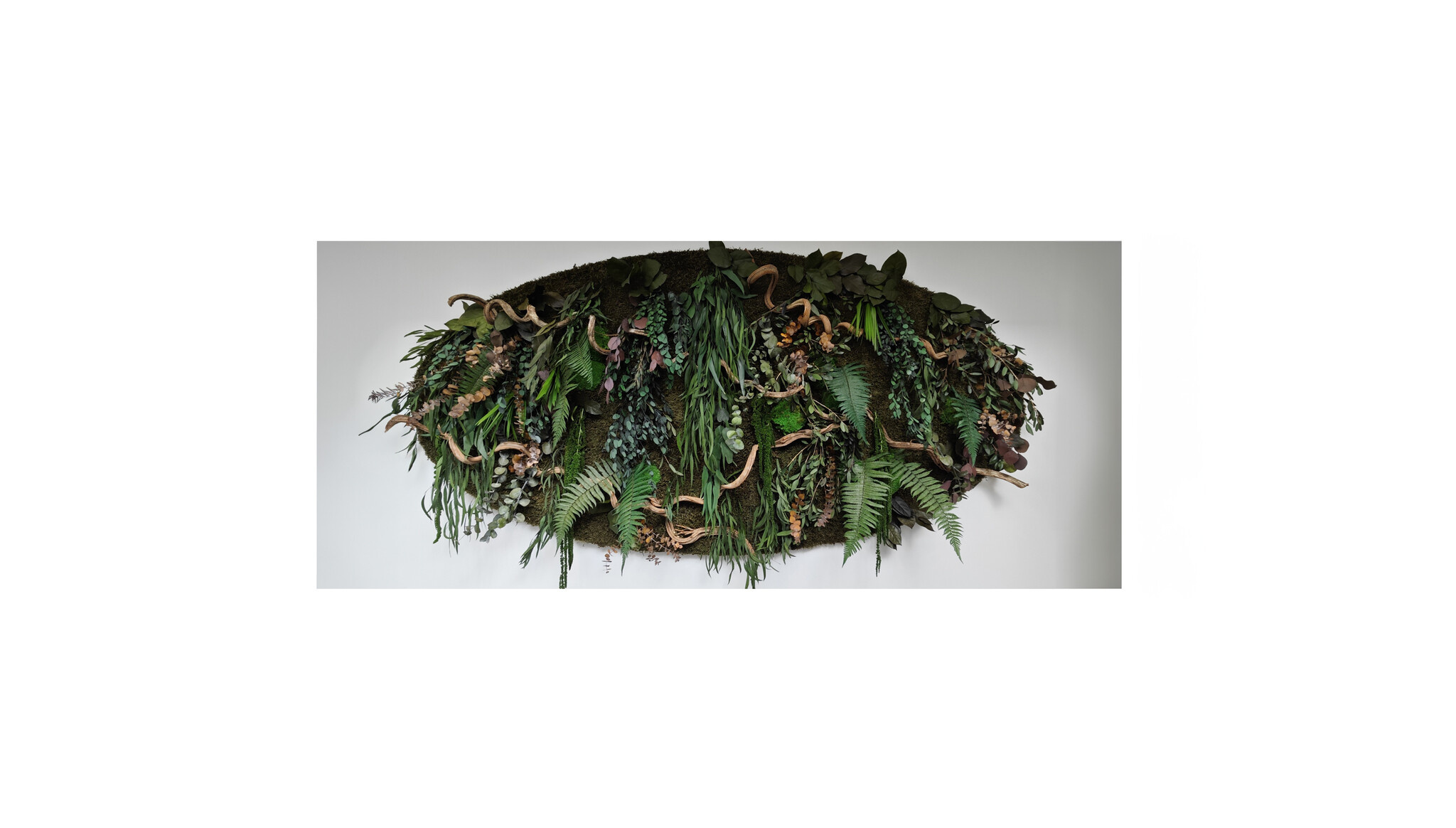 Are there insects in our moss artworks or jungle artworks?