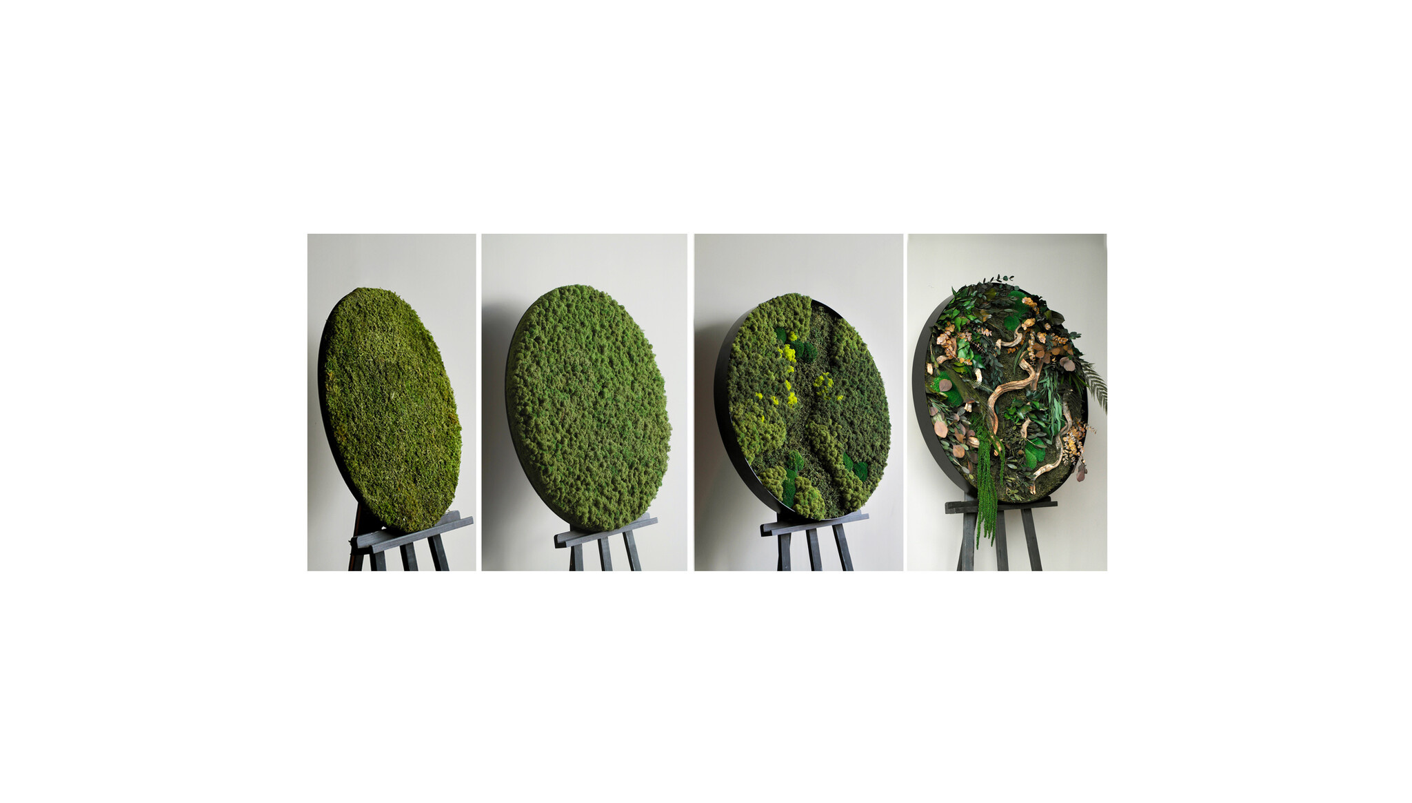 Which types of moss can you choose for your moss artwork? Check out all the options here.