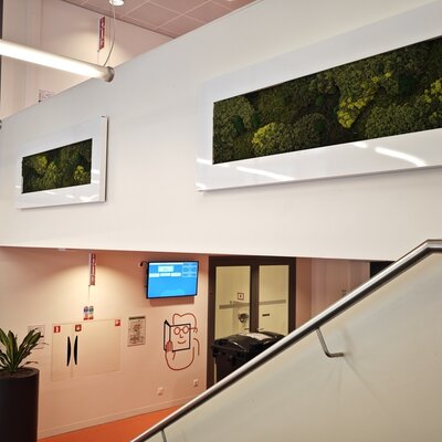 Disadvantages of LivePicture Plant Paintings