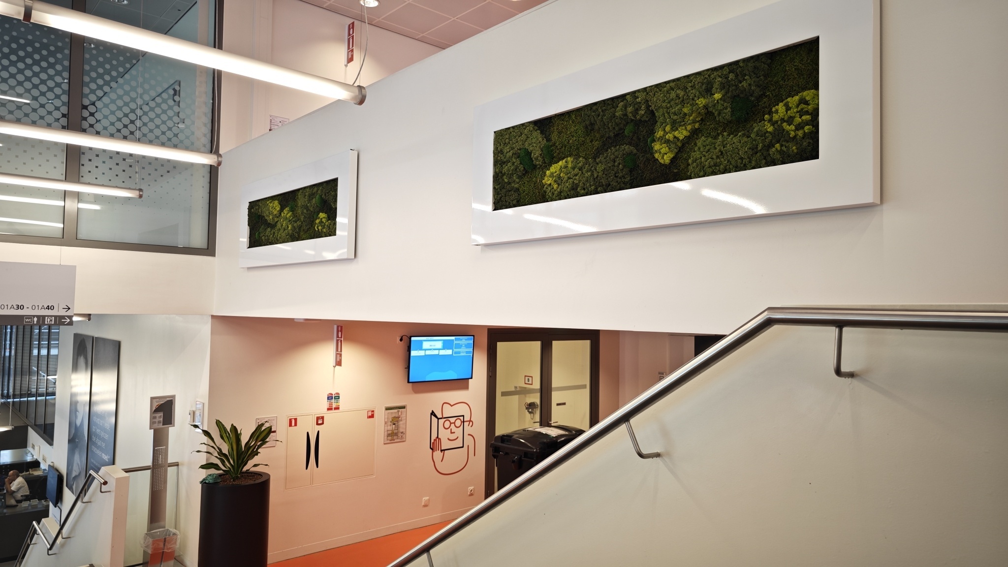 Disadvantages of LivePicture Plant Paintings