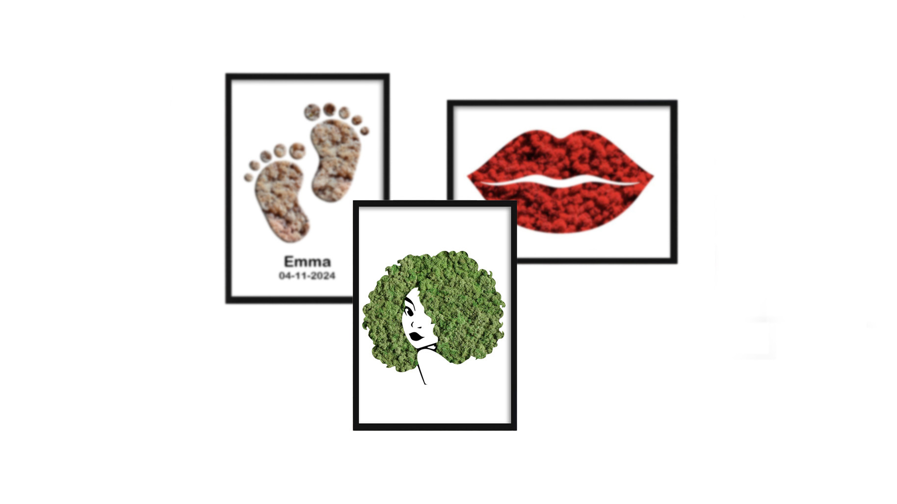 New collection moss portraits