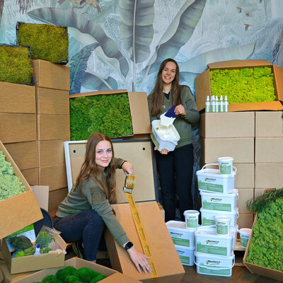 How much moss do you need for a moss artwork?