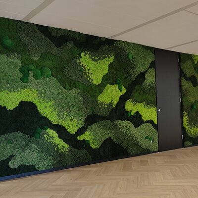Can you be allergic to our moss artworks?