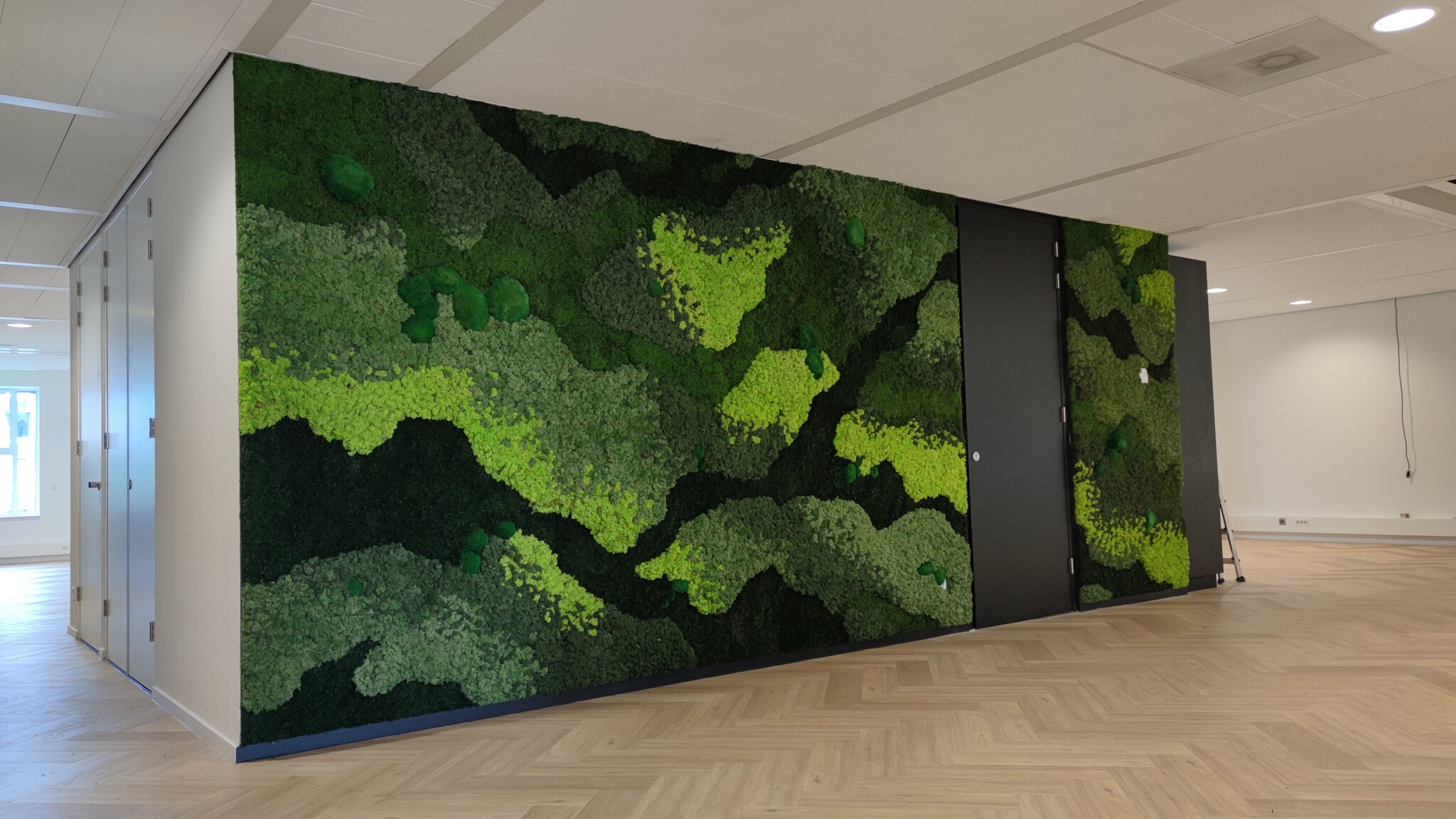 Can you be allergic to our moss artworks?