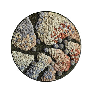 Moscirkel stijl Lavi