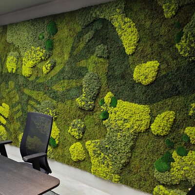 Is moss soundproof?