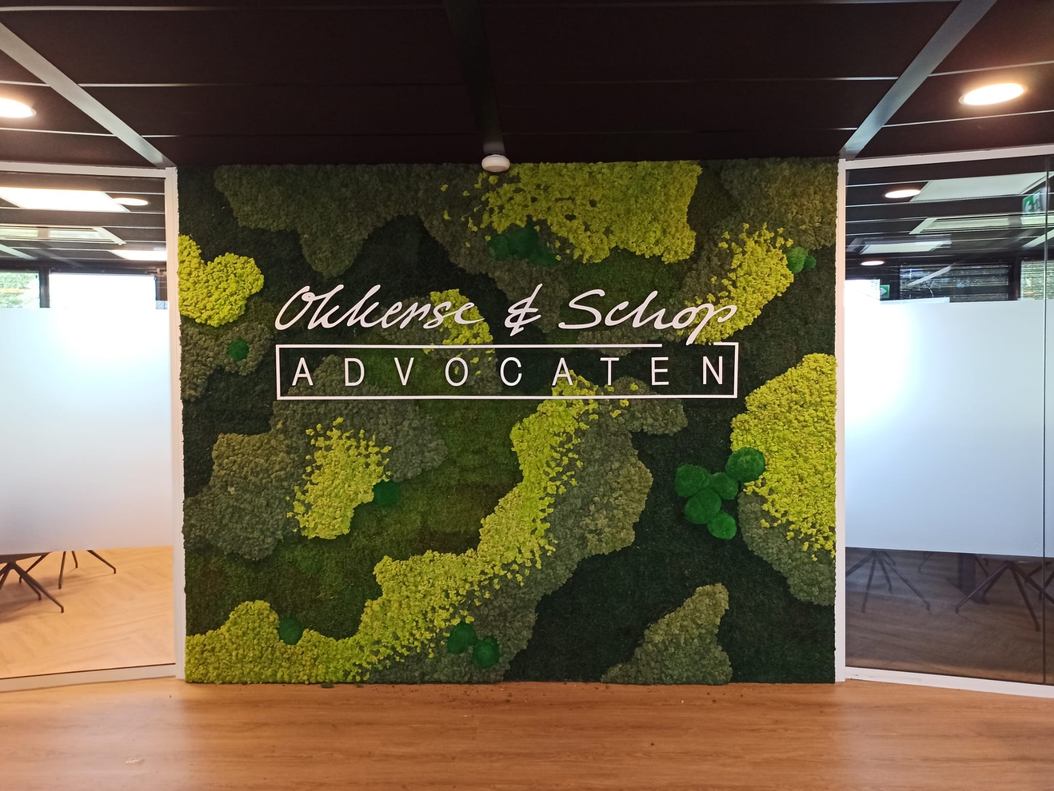 Do moss artworks need light?