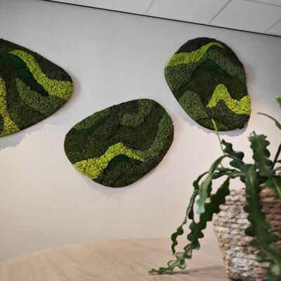 How do you hang a moss artwork?