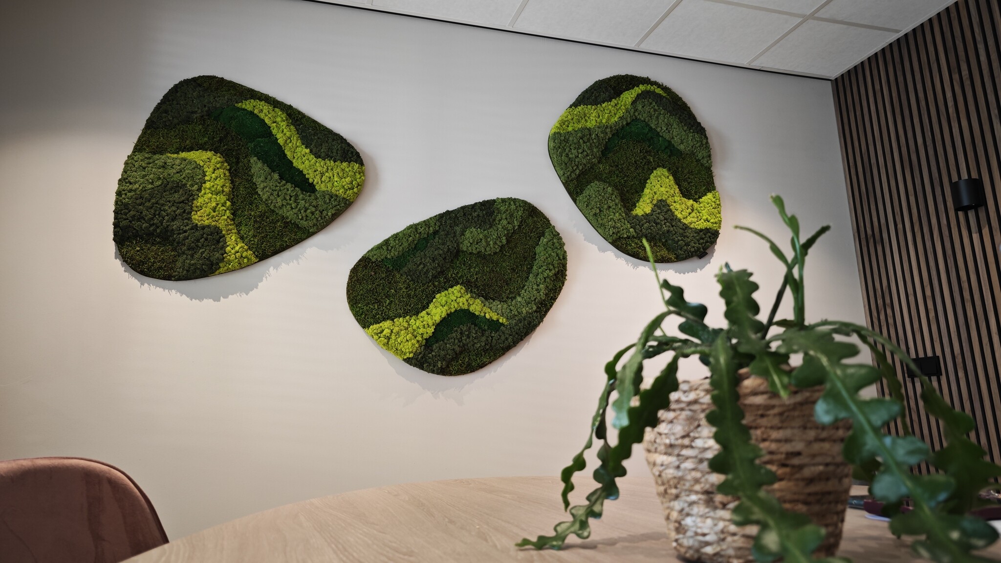 How do you hang a moss artwork?