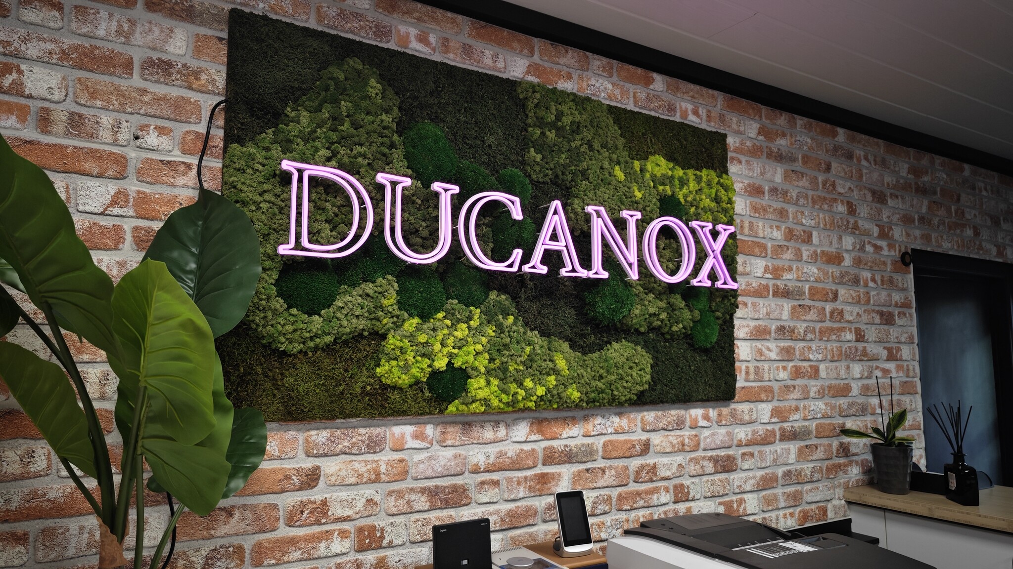 Our moss: what's inside our moss artworks?