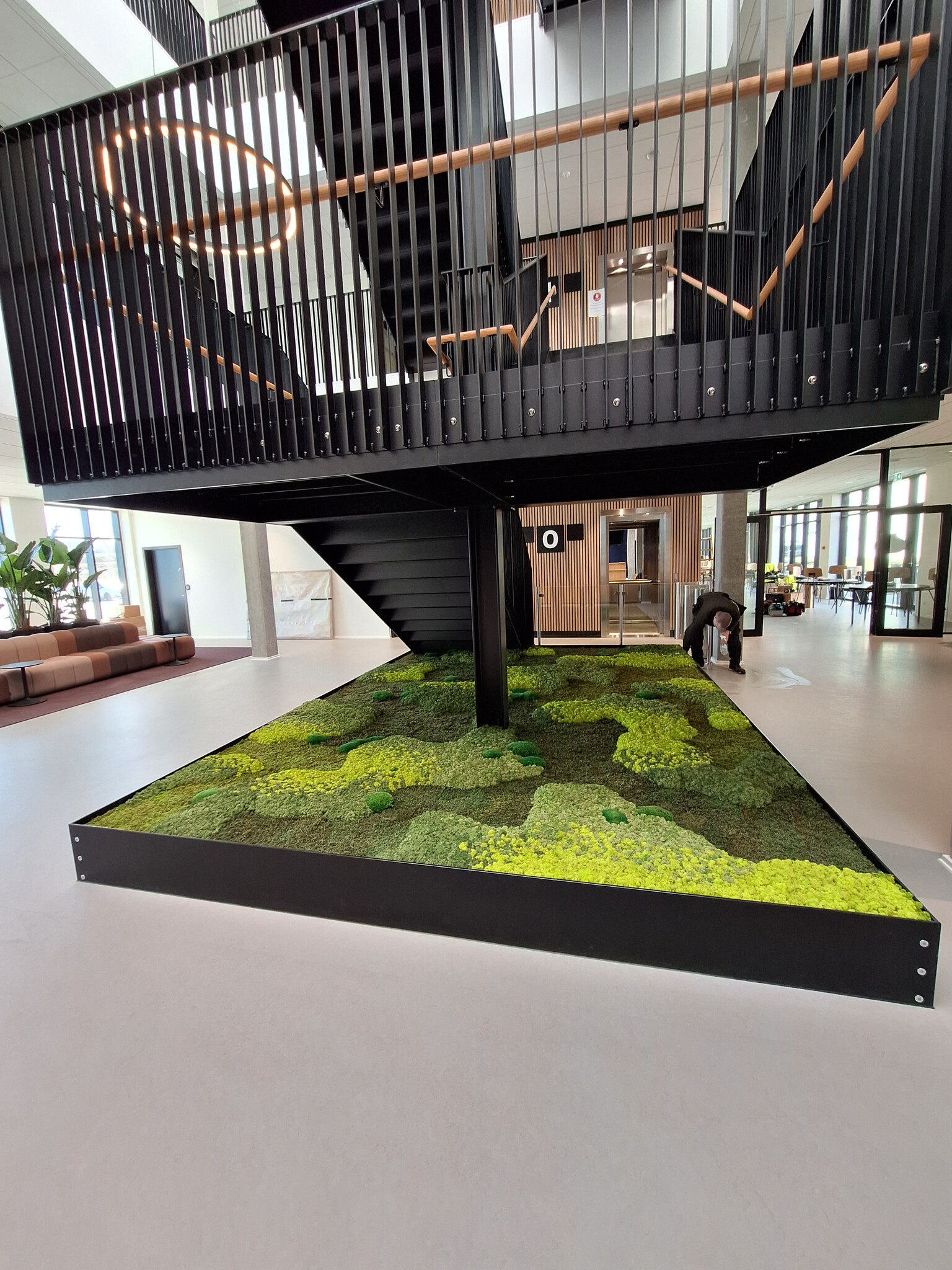 How long do moss artworks last?