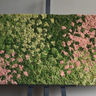 Can a moss artwork be outside?