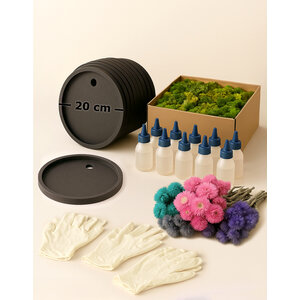 Moss Box Workshop Kit for 10 People – 20 cm Circle – Flowers