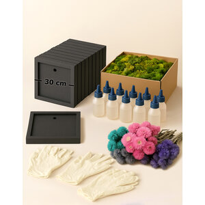 Moss Box Workshop Kit for 10 People – 30 cm Square – Flowers