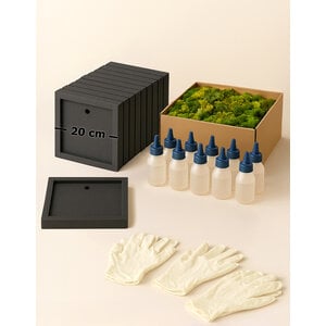 Moss Box Workshop Kit for 10 People – 20 cm Square – ECO Moss