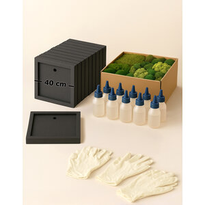 Moss Box Workshop Kit for 10 People – 40 cm Square – mossmix