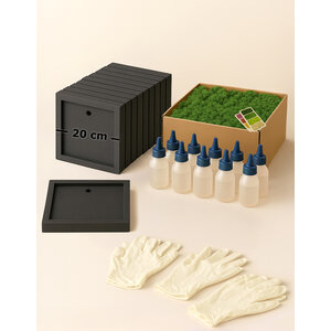 Moss Box Workshop Kit for 10 People – 20 cm Square – Reindeermoss