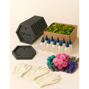 Workshop mosbox 10 personen - 20 cm hexagon - bloemen