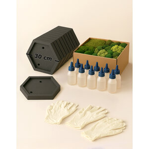 Workshop mosbox 10 personen - 30 cm hexagon - mossenmix