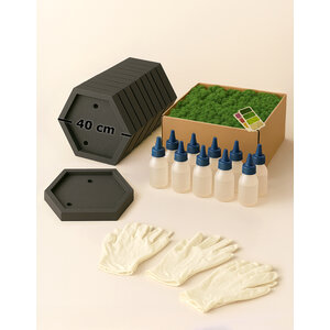 Workshop mosbox 10 personen - 40 cm hexagon - rendiermos