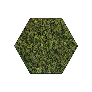 Mosshexagon ECO Forest