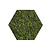 Mosshexagon ECO Forest