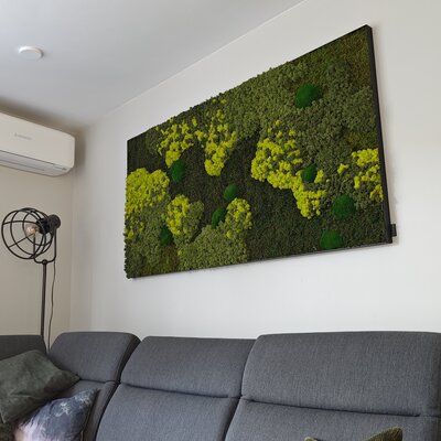 How do you clean a mosswall?