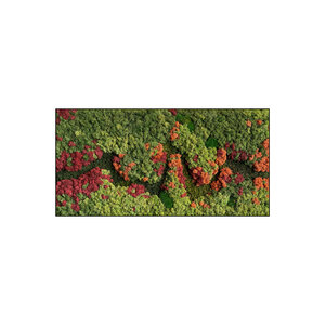 Moss rectangle Renovita