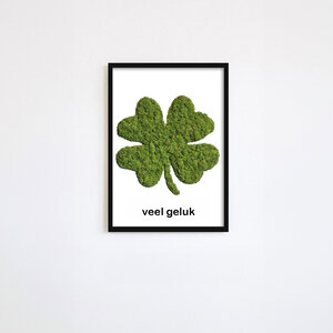 Moss portrait four leaf clover