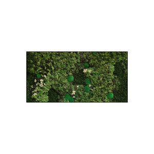 Moss rectangle Taurus