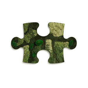 Moss Puzzle Piece Ziva