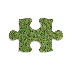 Mos puzzelstuk Dimidium