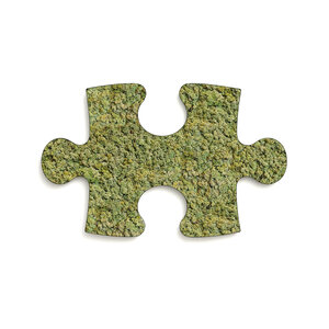 Mos puzzelstuk Vetus