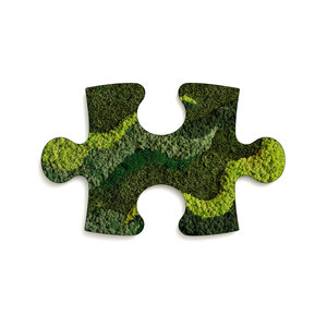 Mos puzzelstuk Walcum