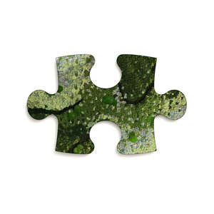 Moss Puzzle Piece Caeruleum