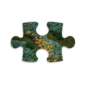 Moss Puzzle Piece Cascata