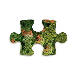 Mos puzzelstuk Vienna