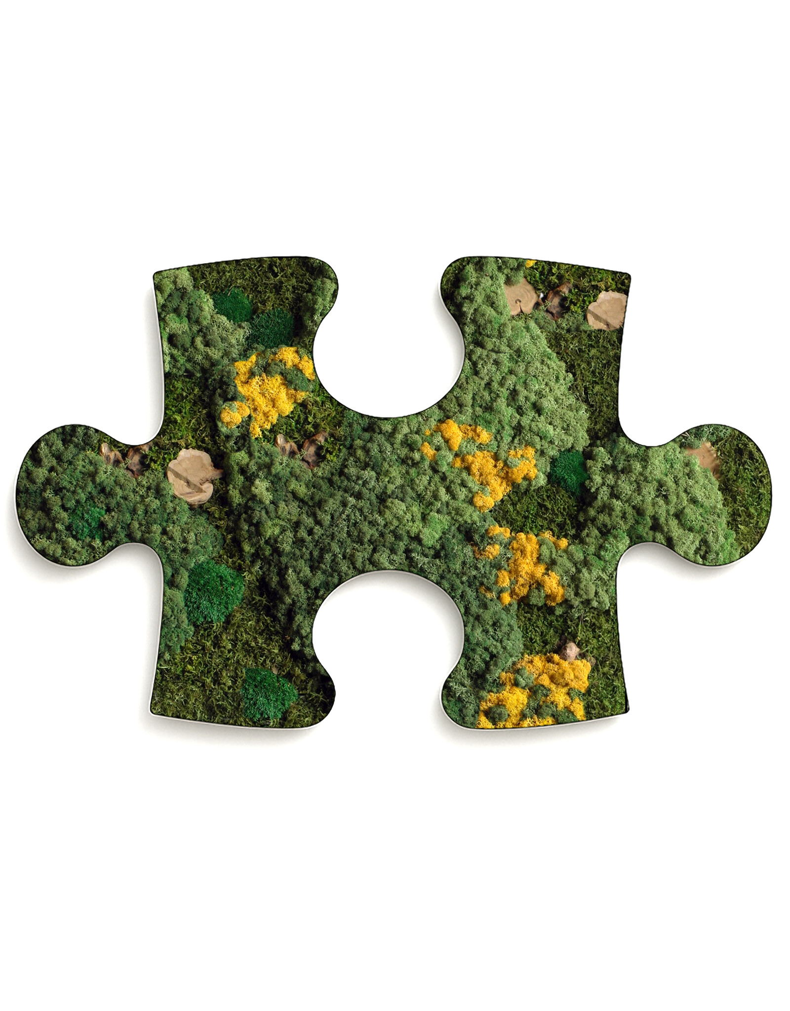 mos-puzzelstuk-flavo-mosschilderij-nl
